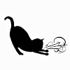 Asthmatic Kitty Records