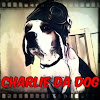 Charlie The Beagle and Laura Olivia