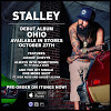 StalleyVid