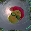 Elizabeth Swims