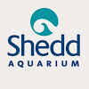Shedd Aquarium