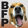 BeagleFreedomProject