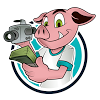 ViralHog