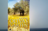 Olivas Garten