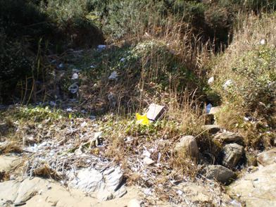 Clean Up 2010 Little Congwong Beach