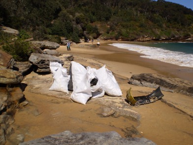 Clean Up 2010 Little Congwong Beach