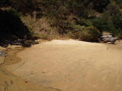 Clean Up 2010 Little Congwong Beach