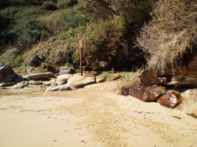 Clean Up 2010 Little Congwong Beach