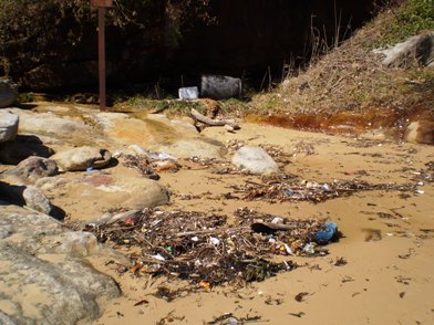 Clean Up 2010 Little Congwong Beach