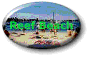 Reef Beach Banner