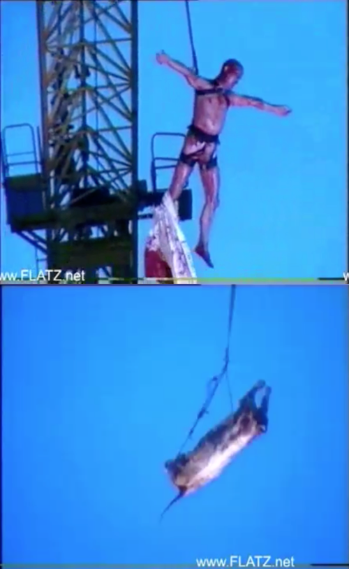 FLATZ: Fleisch, 2001, Videostills
