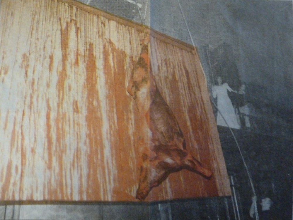 FLATZ: Physical Sculpture meets Brecht, 1998