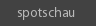 Spotschau
