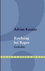 Adrian Kasnitz: Reichstag bei Regen