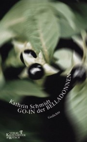 Kathrin Schmid | Hodd