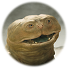 John Carter - Zwischen zwei Welten (Andrew Stanton)