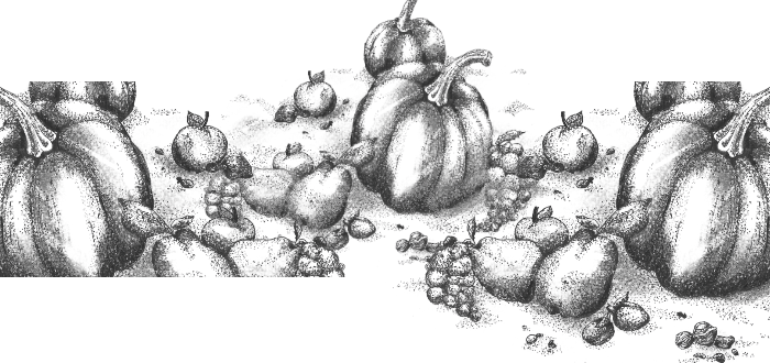 Kürbisse Illustration Collage