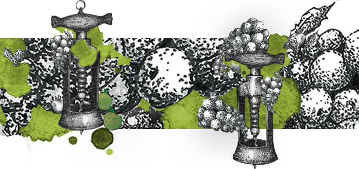 Trauben Illustration Collage