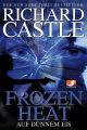 Castle4 web