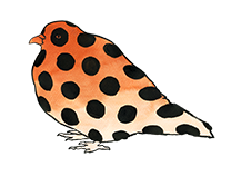 vogel7