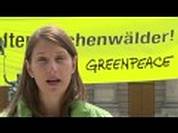 Greenpeace-Aktivisten fordern von Seehofer: Schütze Bayerns alte Buchenwälder!