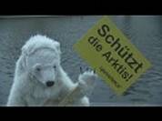 Greenpeace startet Kampagne zum Schutz der Arktis