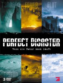 DVD-Cover Perfect Disaster