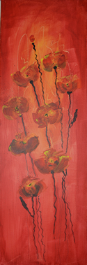 Mohn 20x50