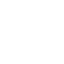 bull1