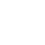bull4