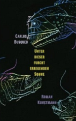 Neue argentinische Literatur