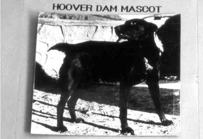 Dam Mascot
