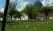 Allee der Kosmonauten: Blumen