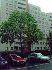 Deutschbau …