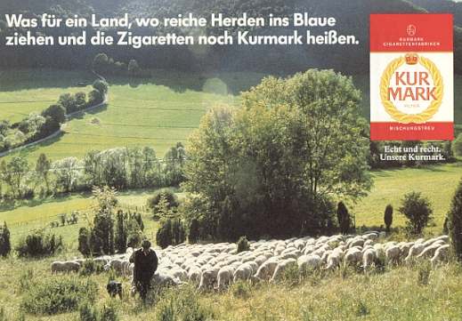 [Abbildung]