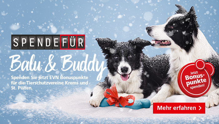 Spenden Sie Ihre Bonuspunkte!
