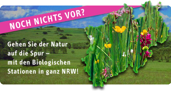 Gehen Sie der Natur auf die Spur - mit den Biologischen Stationen in ganz NRW!