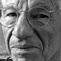 Peter Stripp