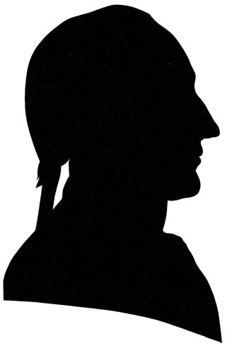 Goethe jung