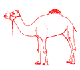 Another Camel